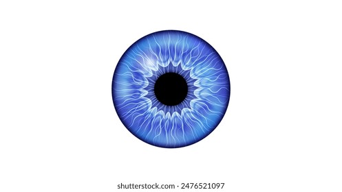 Iris anatomical poster. Human eye structure. Controlling the diameter and size of the pupil. Blue lens, concept of vision. The amount of light reaching the retina, medical flat vector illustration