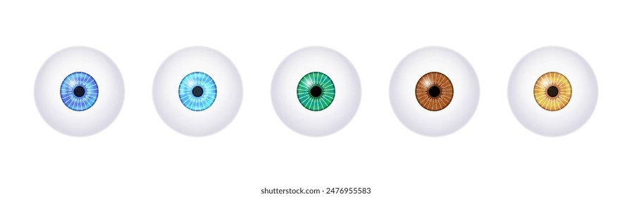 Iris anatomical poster. Human eye structure. Controlling the diameter and size of the pupil. Colorful lens, concept of vision. The amount of light reaching the retina, medical flat vector illustration