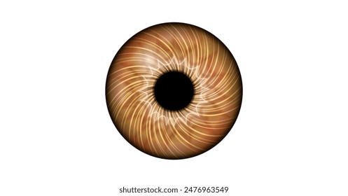 Iris anatomical poster. Human eye structure. Controlling the diameter and size of the pupil. Brown lens, concept of vision. The amount of light reaching the retina, medical flat vector illustration