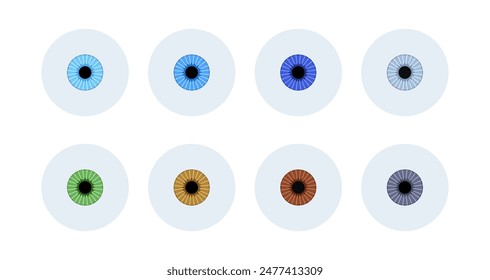 Iris anatomical poster. Human eye structure. Controlling the diameter and size of the pupil. Colorful lens, concept of vision. The amount of light reaching the retina, medical flat vector illustration