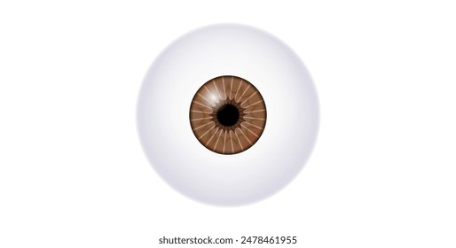 Cartel anatómico del iris. Estructura del ojo humano. Controlar el diámetro y el tamaño de la pupila. Lente marrón, concepto de visión. La cantidad de luz que llega a la retina, Ilustración vectorial médica plana