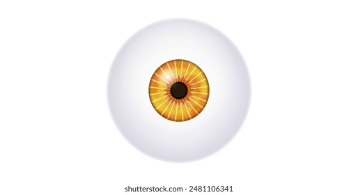 Iris anatomical poster. Human eye structure. Controlling the diameter and size of the pupil. Brown lens, concept of vision. The amount of light reaching the retina, medical flat vector illustration