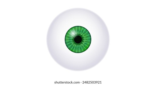 Iris anatomical poster. Human eye structure. Controlling the diameter and size of the pupil. Green lens, concept of vision. The amount of light reaching the retina, medical flat vector illustration
