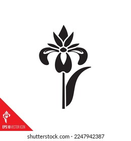 Iris blossom vector glifo icono. Símbolo floral de primavera.