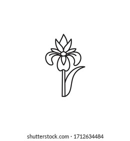 Iris blossom vector line icon. Spring floweer outline symbol.