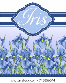 Iris blue