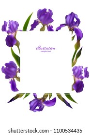 Iris. Blue flowers. Floral background. Border. Flower pattern. Buds. Green leaves. Petals. Invitation.
