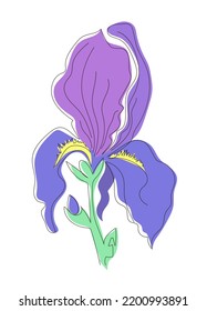 Iris with buds on a lilac-colored stem. Flower in a linear style. Stock vector illustration, isolated on white background.