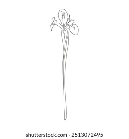 Desenho de linha contínua da íris. Buquês de flores preto e branco. Página de Coloração de Flor. Floral Line Art. Fine Line Lilies ilustração. Flores desenhadas à mão. Coloração Botânica. Flores de convite de casamento