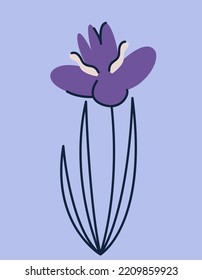 Iris in doodle style. Beautiful garden flower.