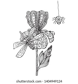 Iris dragonfly, ladybugs, spider monochrome hand drawn zenart sketch design element stock vector illustration for web, for print, for coloring page
