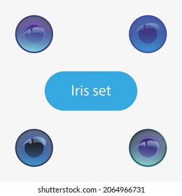 Iris of the eye set. Flat vector. Blue colored eye lenses. Flat design for store. Icons, eye logos. Modern illustration of human eye pupils. Realistic draw. The glass eyes of the dolls. Puppet eyes.