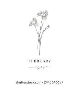 Iris, February Birth Flower. Hand drawn birth flowers, Vector Graphics.
Floral Decorative Design Element. Birth Month, Mother’s Day, Birth Announcement, Baby Gift, T-shirt design, Print.