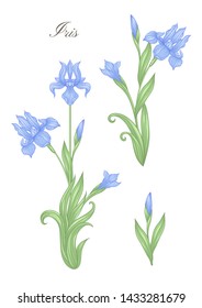 Iris, fleur-de-lis, flower-de-luce, flag color illustration In art nouveau style, vintage, old, retro style. Vector illustration.