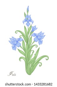 Iris, fleur-de-lis, flower-de-luce, flag color illustration In art nouveau style, vintage, old, retro style. Vector illustration.