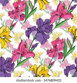 Iris floral botanical flowers on white background