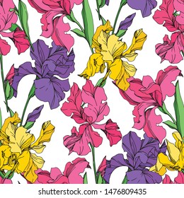 Iris floral botanical flowers on white background