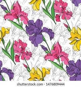 Iris floral botanical flowers on white background