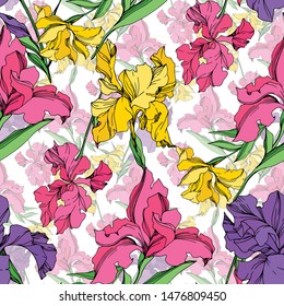 Iris floral botanical flowers on white background