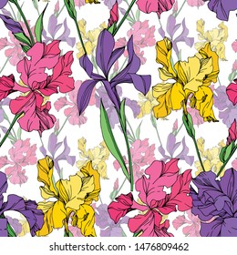 Iris floral botanical flowers on white background