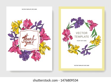 Iris floral botanical flowers on white background
