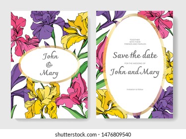 Iris floral botanical flowers on white background