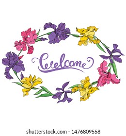 Iris floral botanical flowers on white background