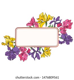 Iris floral botanical flowers on white background