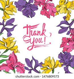 Iris floral botanical flowers on white background