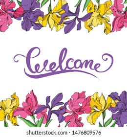 Iris floral botanical flowers on white background