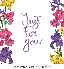 Iris floral botanical flowers on white background