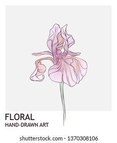 Iris floral illustration. Creative hand drawn watercolor flower greeting card. Botanical art doodle graphics.