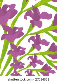 Iris flower background