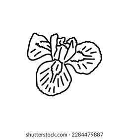 Iris blüht schwarze Linie Symbol. Piktogramm für Webseiten, mobile App, Promo.
