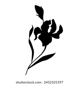 Iris flower, black silhouette, vector.