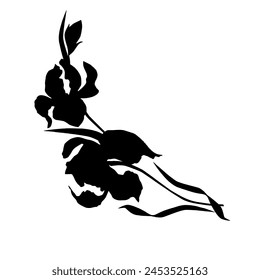 Iris flower, black silhouette, vector.