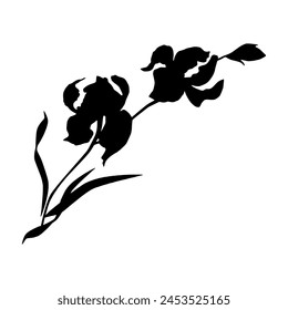 Iris flower, black silhouette, vector.