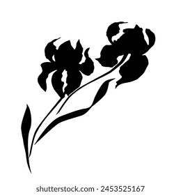 Iris flower, black silhouette, vector.