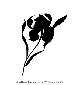 Iris flower, black silhouette, vector.