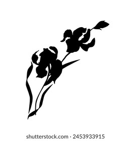 Iris flower, black silhouette, vector.