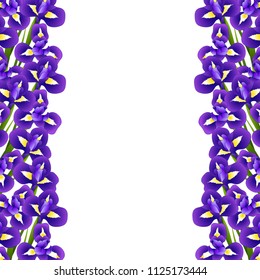 Iris Flower Border on White Background. Vector Illustration.
