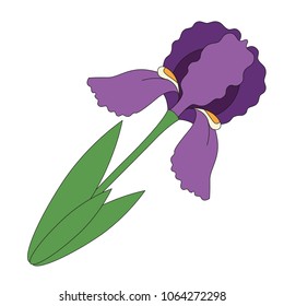 Iris Flower cartoon. Outlined illustration with thin line black stroke