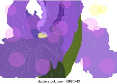 Iris flower closeup isolated on white background