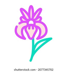 iris flower color icon vector. iris flower sign. isolated symbol illustration