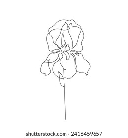 Iris flower in continuous line art drawing style. Iris flower black line sketch. Botanical linear design isolated on white background Hand drawn vector illustration for wedding poster, invitation card