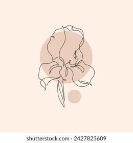 Iris flower in continuous line art drawing style. Iris flower black line sketch. Botanical linear design on geometric background Hand drawn vector illustration for wedding poster, invitation card