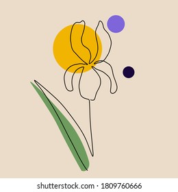 iris flower drawn in one line on a background of circles, abstract painting