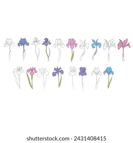 iris flower drawn in vector, postcard with a delicate flower