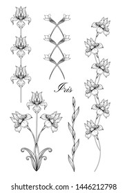 Iris flower, fleur-de-lis, flower-de-luce, flag. Element for design. Outline hand drawing vector illustration. In art nouveau style, vintage, old, retro style. In botanical style	