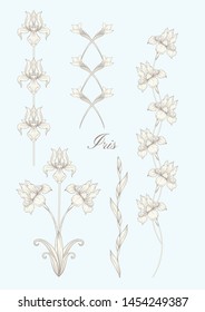 Iris flower, fleur-de-lis, flower-de-luce, flag. Element for design. In art nouveau style, vintage, old, retro style. In botanical style In vintage blue and beige colors.	